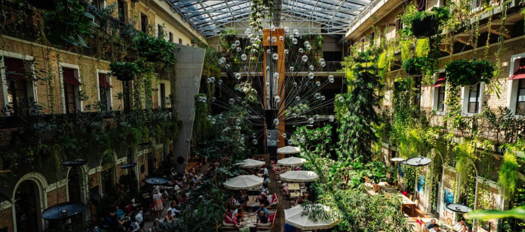 Lush green interior of Twentysix restaurant in Budapest with a jungle-like setting and natural light.