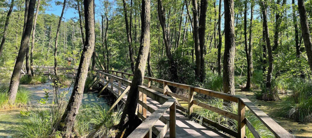 Fényes Nature Trail - Countryside Hungary