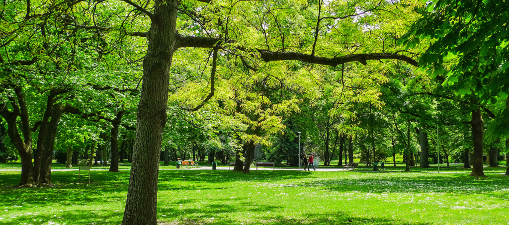 Margaret Island park in Budapest with trees and walking paths
