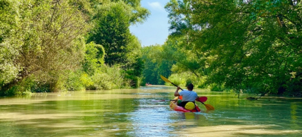Kayaking through the quiet waterways of Szigetköz, Hungary’s Little Danube paradise