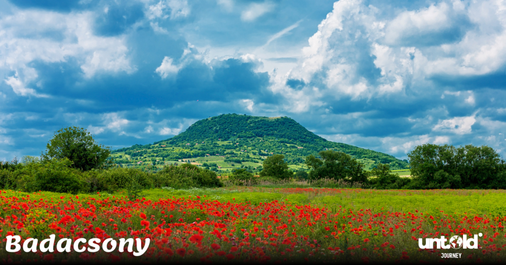 Colorful flower fields near Lake Balaton, Hungary