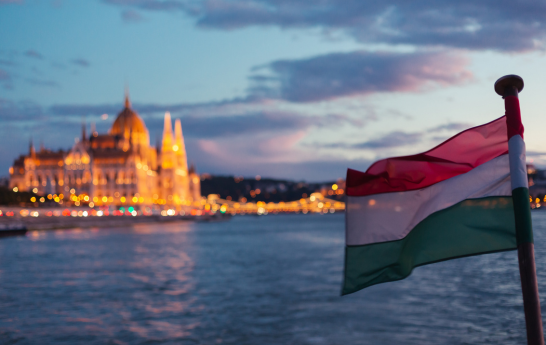 Hungarian flag with parliament